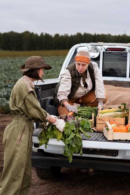 Оценка состояния кузова и подготовка машины перед началом работ